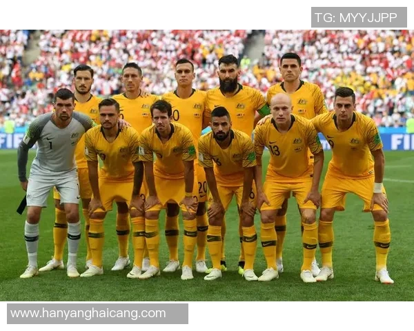 瑞士与乌克兰的比赛是否已经取消最新消息与分析